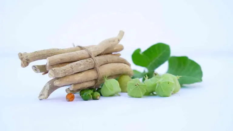 Ashwagandha Bestandteile