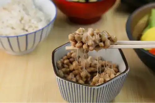 Natto ist ein traditionelles japanisches Lebensmittel, das aus fermentierten Sojabohnen hergestellt wird. Es zeichnet sich durch eine klebrige Konsistenz, einen starken Geruch und einen einzigartigen Geschmack aus. Die Sojabohnen werden mit Hilfe von Bacillus subtilis, einem speziellen Bakterium, fermentiert, was zu einer reichen Quelle von Probiotika führt, die für die Darmgesundheit förderlich sind. Natto wird oft als Beilage zu Reis oder als Bestandteil anderer Gerichte serviert. Es ist bekannt für seinen hohen Proteingehalt sowie für seine reiche Quelle an Vitamin K2, das wichtig für die Knochengesundheit ist. Während sein eigenwilliger Geschmack nicht jedermanns Sache ist, wird Natto von vielen Menschen aufgrund seiner ernährungsphysiologischen Vorteile und seines kulturellen Erbes geschätzt.
